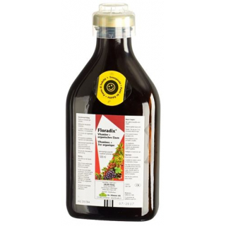 Floradix Vitamine + organisches Eisen Saft Flasche 500мл