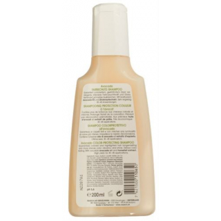 Rausch Avocado Farbschutz-Shampoo 40мл