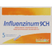 BOIRON INFLUENZINUM C9 2018/19