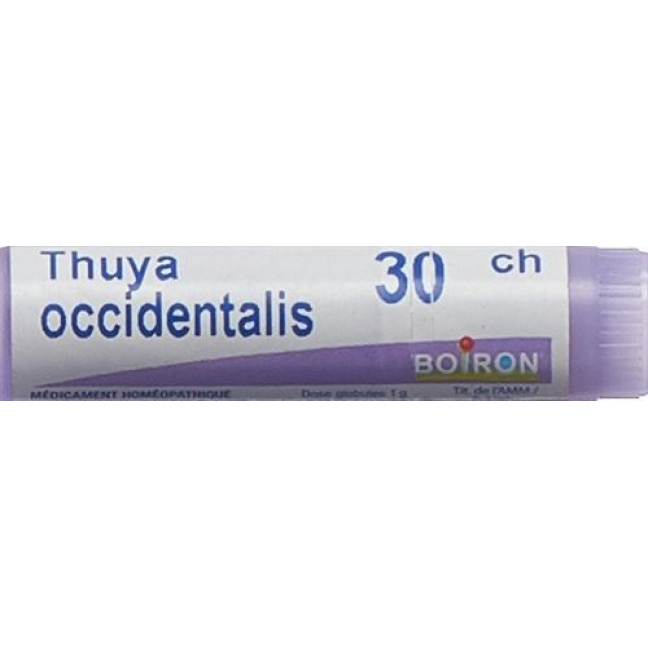Boiron Thuya Occidentalis шарики C 30 1 доза