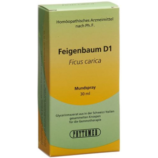 Phytomed Gemmo Feigenbaum жидкость D 1 30мл