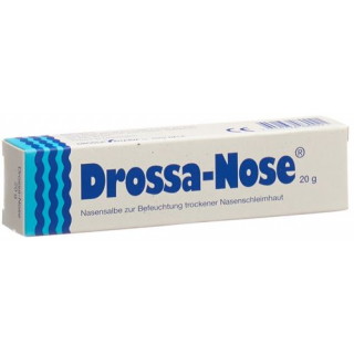 Дросса-Нос мазь для носа 20 г