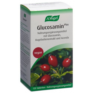 А. Фогель Глюкозамин Плюс 120 таблеток