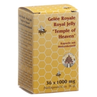 Gelee Royale Royale Jelly в капсулах Toh 36 штук