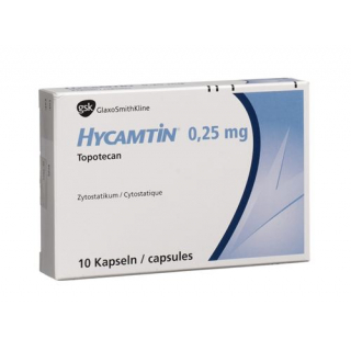 Гикамтин 0,25 мг 10 капсул 