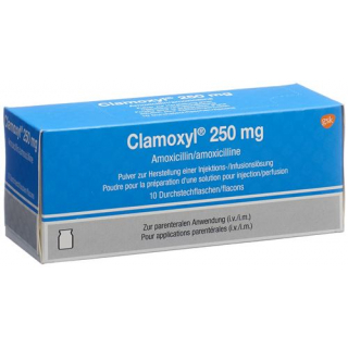 Кламоксил сухое вещество 250 мг 10 флаконов