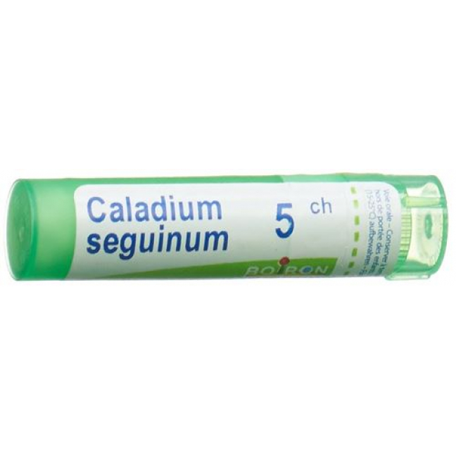 Boiron Caladium Seguinum в гранулах C 5 4г