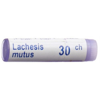 Boiron Lachesis Mutus шарики C 30 1 доза