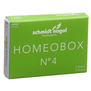 SN HOMEOBOX 4 GLOB