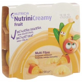 NUTRINI CREAMY FRUIT SOMMER
