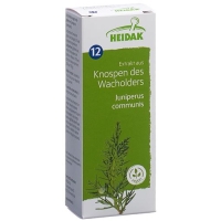 HEIDAK KN WACHOLDER JUNIPERUS