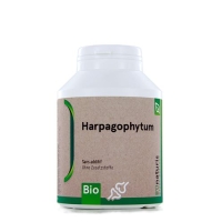 BIONATURIS HARPAGOPHYTUM 350MG