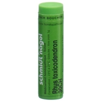 SN Rhus Toxicodendron Glob CH 30 15 г