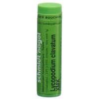 SN Lycopodium clavatum Glob XMK 1г