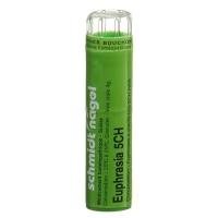 SN Euphrasia Gran CH 5 4 г