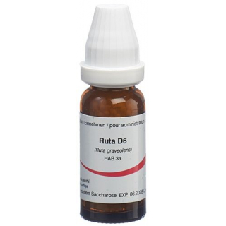 OMIDA RUTA GLOB D 6 2 G