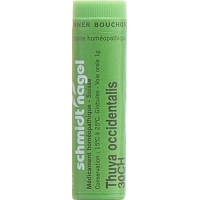 СН Thuya occidentalis Glob CH 30 15 г