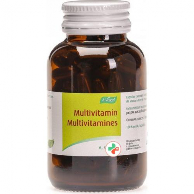 А. Фогель Мультивитамин 120 капсул