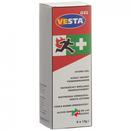 Vesta Gel Hydrogel Stick 6x 12г
