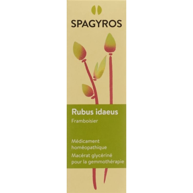 SPAGYROS GEMMO Rubus idaeus Glyc Maz D 1