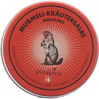 PURALPINA Murmeli-Kräutersalbe wärmend