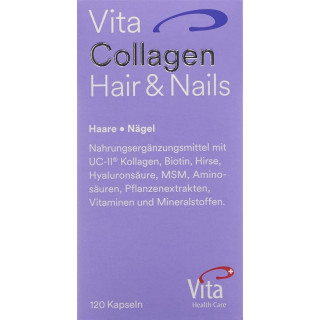 Vita Коллагеновые капсулы для волос и ногтей DS 120 шт.