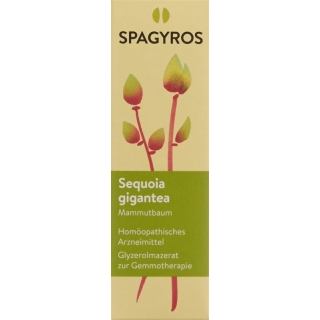 SPAGYROS GEMMO Sequoia gigant Glyc Maz D 4