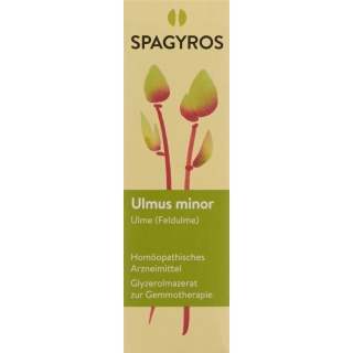 SPAGYROS GEMMO Ulmus minor Glyc Maz D 1