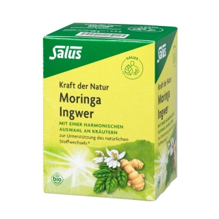 SALUS Tee Moringa Ingwer Bio