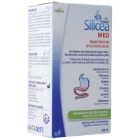 Hübner Silicea Gastrointestinal Gel Bottle 200 мл