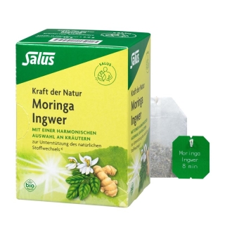 SALUS Tee Moringa Ingwer Bio