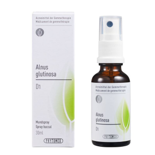 PHYTOMED GEMMO Alnus glutinosa liq D 1