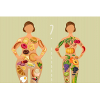 Куда уходят калории, поступающие в организм с пищей?