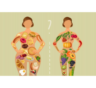 Куда уходят калории, поступающие в организм с пищей?
