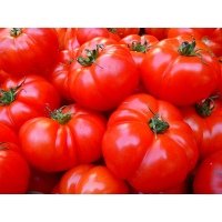 Ликопен: помидоры против рака простаты