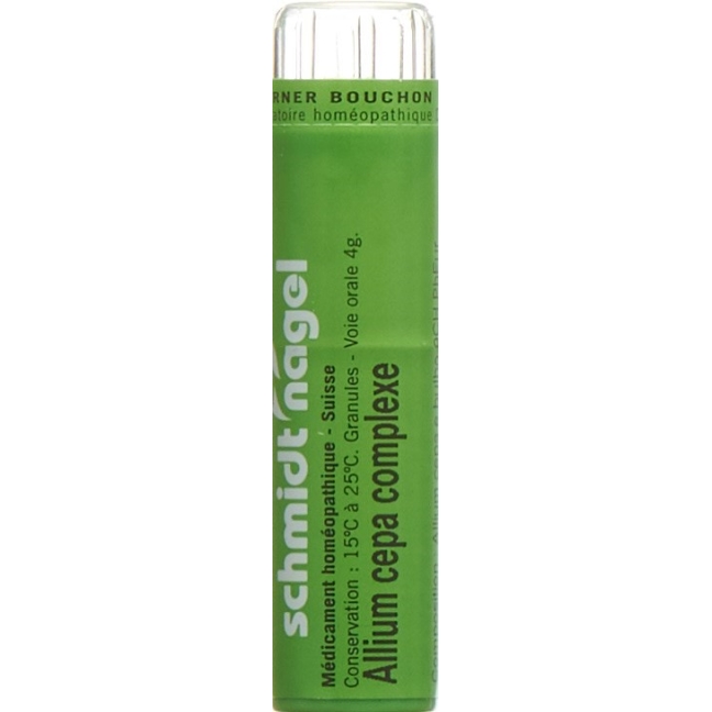 SN Allium cepa complexe Gran 4 г