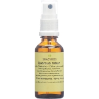 Spagyros Gemmo Quercus robur Glyc Maz D 1 30 мл