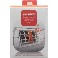 Радість запашна чоловіча машина Cesare orange Energy