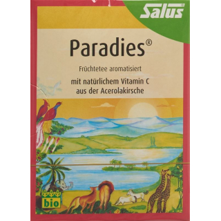 Чай Salus Paradise органический с витамином С в пакетиках 15 шт.