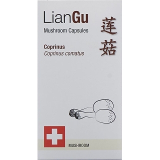 LianGu Coprinus Mushrooms Capsules Can 60 Pieces