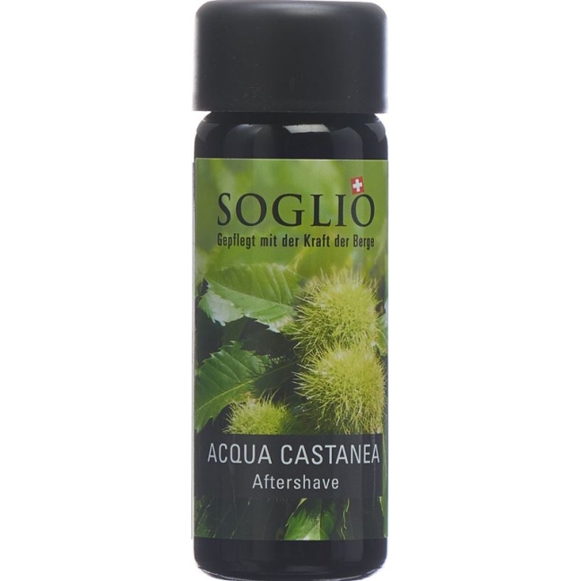 Soglio Aqua Castanea Fl 100 мл