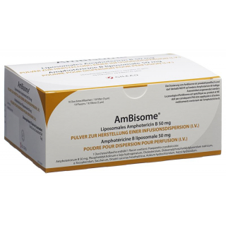 AmBisome сухой субстанция 50 мг для проникновения 10 шт.