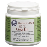 Таблетки Holistic Med Ling Zhi 90 шт