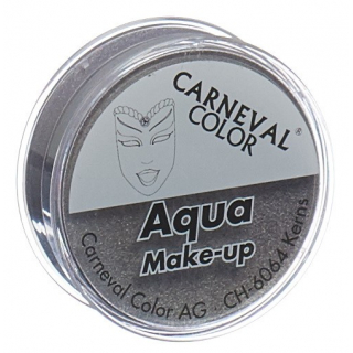 Carneval Color Aqua Make Up Silber 10ml