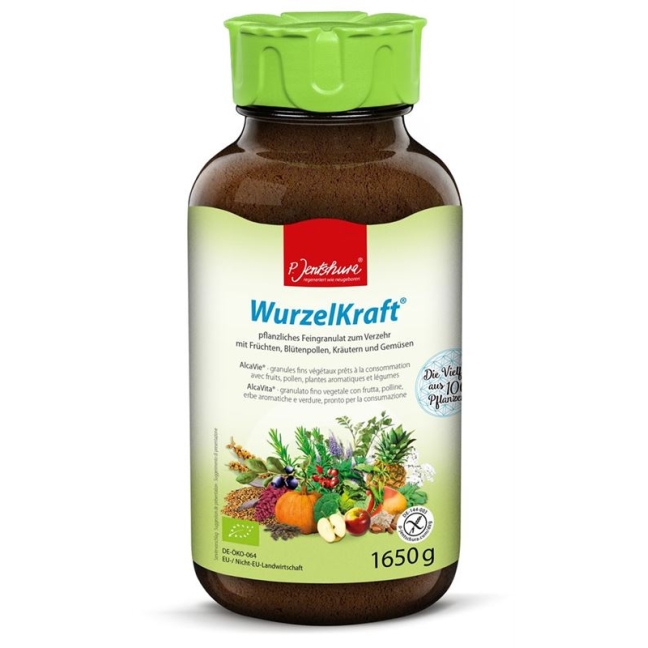 Jentschura Wurzelkraft Feingranulat Bio 1650g