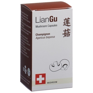 LianGu Champignon Mushrooms Capsules Can 60 Pieces