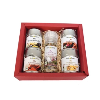 Настільний гриль для раклет-фондю Morga spice box