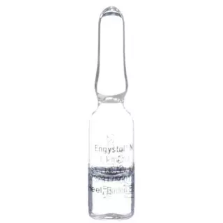 Engystol N Inj Lös 100 Amp 1,1 мл