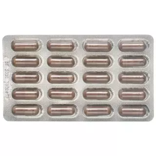 АЛЬПІНАМЕД OPC-Lycopene капсули 60 шт