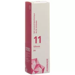 ФІТОМЕД ШЮССЛЕР Nr11 Silicea мазь D 6 75 г